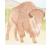 Kids Illustration von