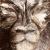 White tiger von Natasa