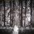 Düsterer Wald von Mia