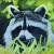 Waschbär von Gwydyon-Art