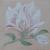Magnolienblüte von D. Schröder
