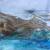 Landscape III. von