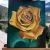 Rose Gelb von B.S.