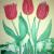 Drei Tulpen von