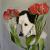 Jacky von Birthie