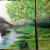 Landschaft von Birthie