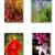 Foto-Florales-1-4 von Axel Schlote