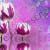Lila Tulpen von Farbenrausch