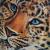 Leopard von Ju