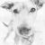 Gaia im Portrait von