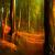 Wald Rügen von Antje Schulz - Impressionistische Fotografie