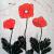 Bild Blumen in rot,schwarz, grau von