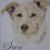 Snow von Peps' Kreativer Winkel