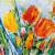 SPRING COLOURS von Roswitha Huber
