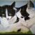 Mona und Lisa von Birthie