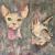 Cats von tinkel