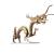 Drache - Gold von
