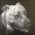 Liebe (Hund / Old English Bulldog) von