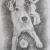 Jack Russell von Paulowitz