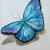 Blaueschmetterling von
