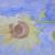 IMG_0296.JPG von edxart