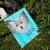IMG_20190617_113342_298.jpg von Loana