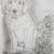 Golden Retriever Welpe von Paulowitz