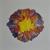 Blume 1.jpg von Lilli Reis