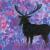 Deer in purple von Chiara van Schimonsky