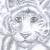 white tiger von Chiara van Schimonsky