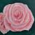 Rose von Anna Jod
