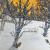 Winterlandschaft 5 von