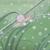 Schnecke von