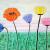 Bunte Mohnblumen von