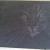 crazy cat in the dark (Gravur auf Schieferplatte) von Mona